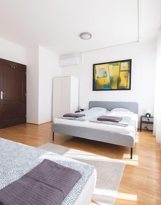 부다페스트 Bright Downtown Balcony Retreat 아파트 외부 사진